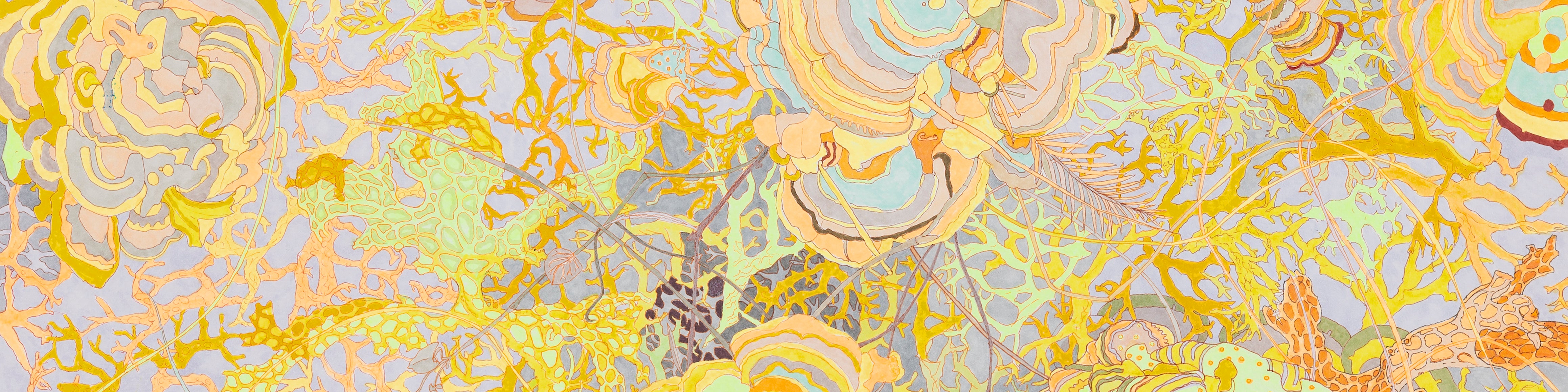 Polypore fungi drawn in a art nouveau style with a profusion of color