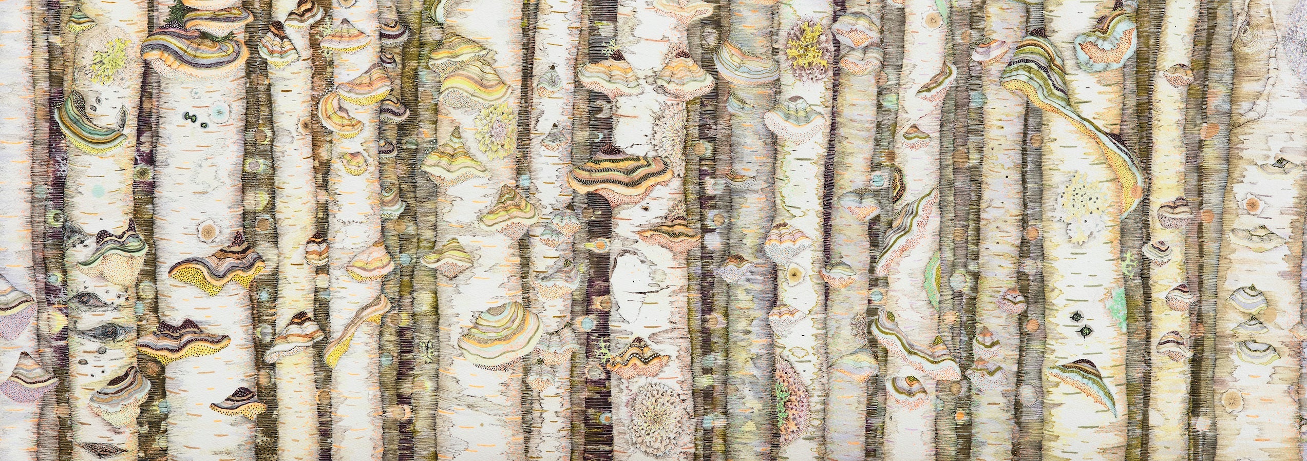 birch trees and polypore mushrooms