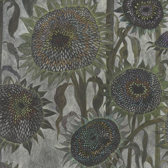 Detail of sunflower Seed Heads luxury hand drawn wallpaper by Claire burbridge