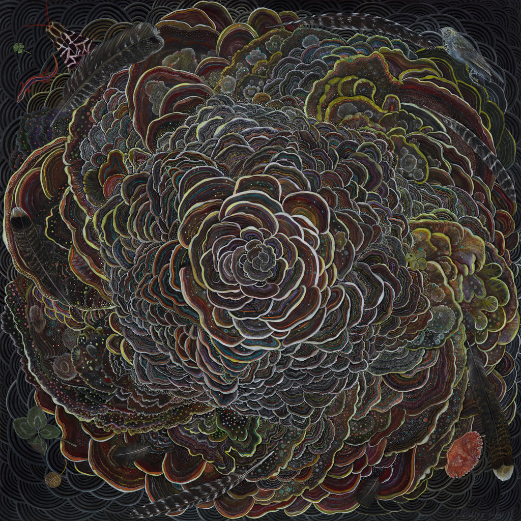 The Five Elements by artist Claire Burbridge, black paper with polypore fungi spiraling around intentional geometries, pointillist details, salamander, four leaf clovers, feathers and a crab shell .