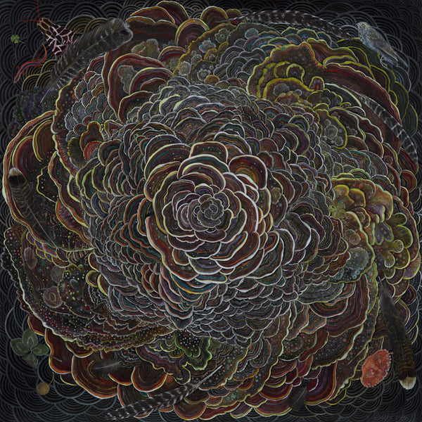 The Five Elements by artist Claire Burbridge, black paper with polypore fungi spiraling around intentional geometries, pointillist details, salamander, four leaf clovers, feathers and a crab shell .