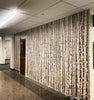 Tree mural wallpaper by artist Claire Burbridge, install shot at Western Oregon University, Natural Sciences Building