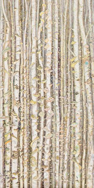 Schöner Wald is an archival inkjet print an edition of eleven prints of birch trees adorned with colorful polypore fungi