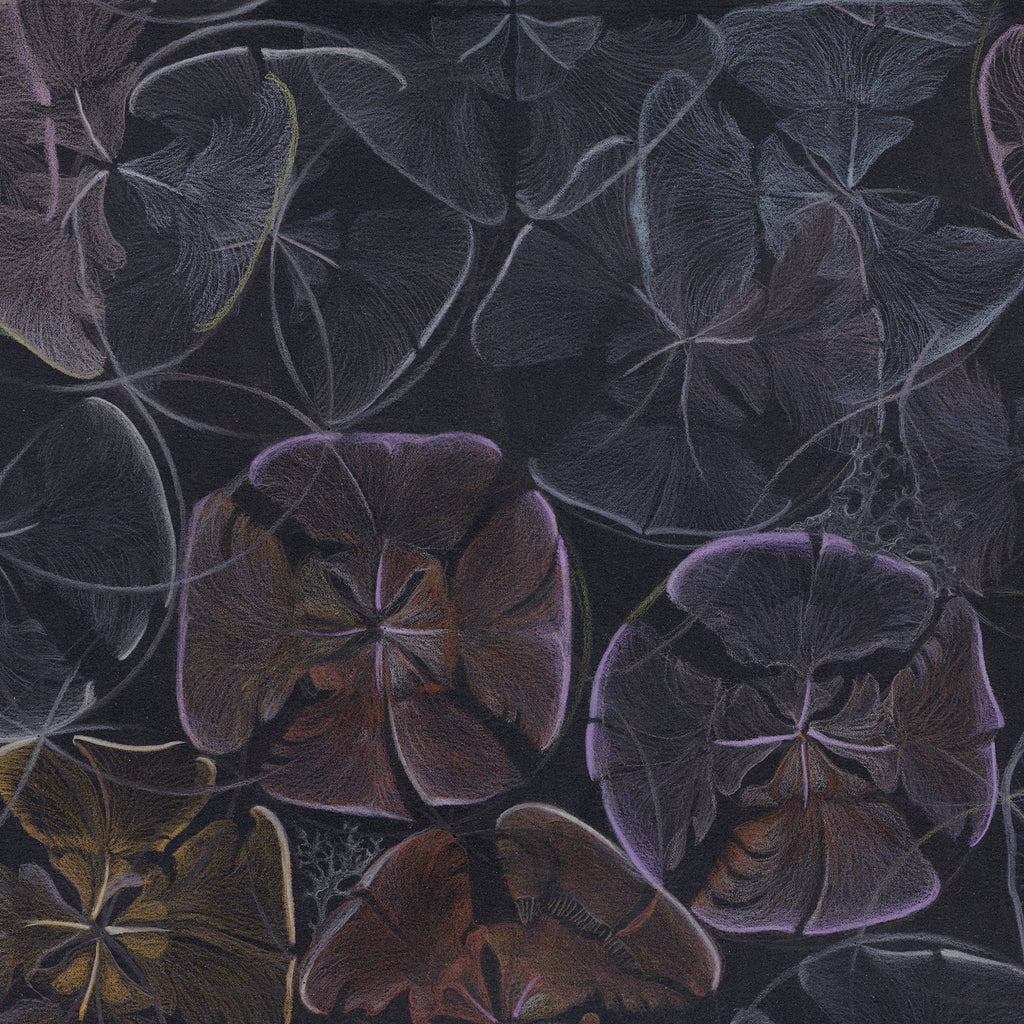 Detail from Claire Burbridge's dark and moody Cedar Cones wallpaper