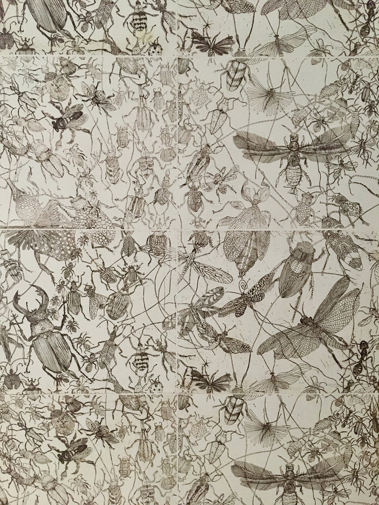 insect wallpaper, screen printed in 3 colors designed by artist Claire burbridge