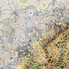 Detail of Insect Universe archival inkjet print by artist Claire Burbridge, beetles, moths, locusts.