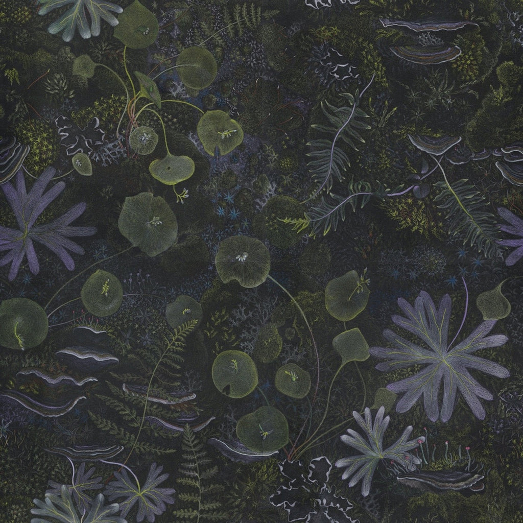 Single repeat of artist Claire Burbridge's moody dark Moss Cave wallpaper from the Night Garden collection fungi mosses ferns are among the inhabitance of this black background wallpaper