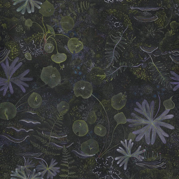 Single repeat of artist Claire Burbridge's moody dark Moss Cave wallpaper from the Night Garden collection fungi mosses ferns are among the inhabitance of this black background wallpaper