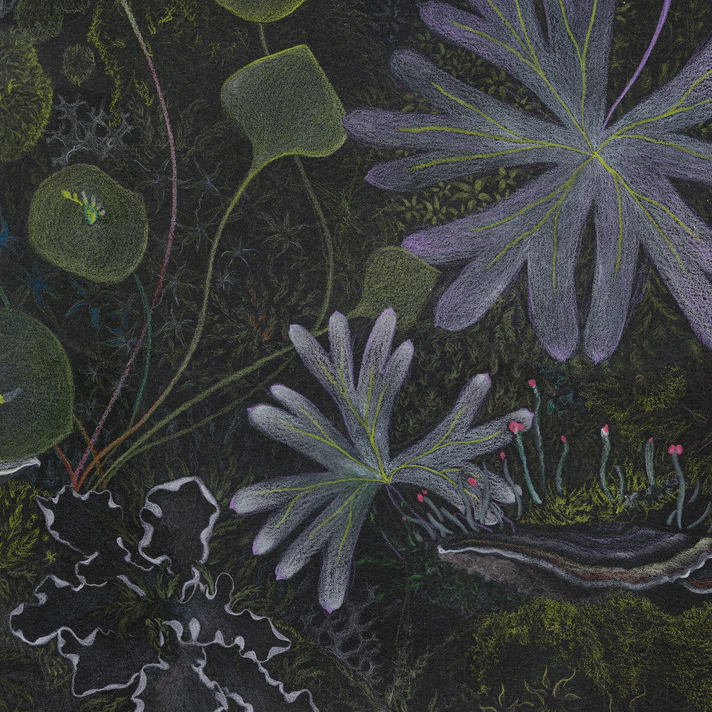 Detail view of Claire Burbridge's dark and moody Moss Cave wallpaper design