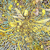 Detail from Claire Burbridge's fine art print Mycelium Universe 1 (Fusion)