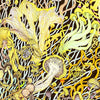 Detail from Claire Burbridge's fine art print Mycelium Universe 1 (Fusion)