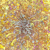 Mycelium, fungi; Detail from Claire Burbridge's archival inkjet fine art print Mycelium Universe 2 (Fission)