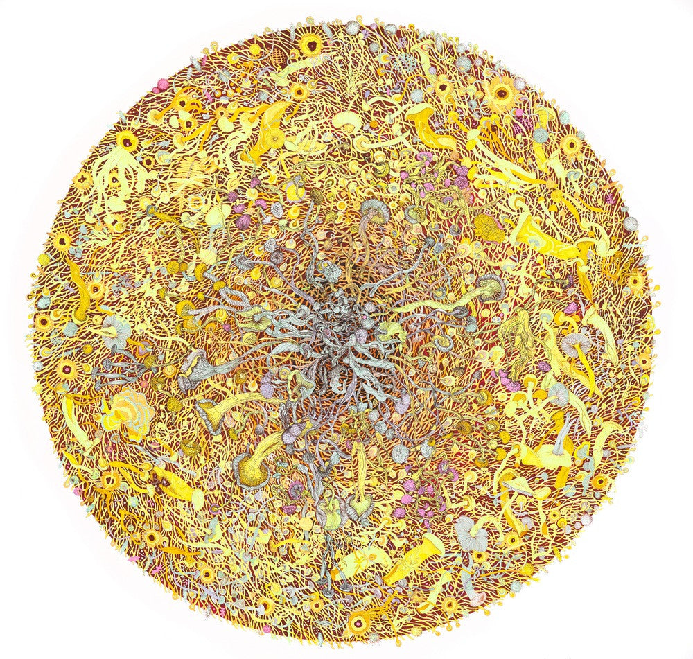 Mycelium, fungi; Artist Claire Burbridge's archival inkjet fine art print Mycelium Universe 2 (Fission), from an original pen and ink drawing