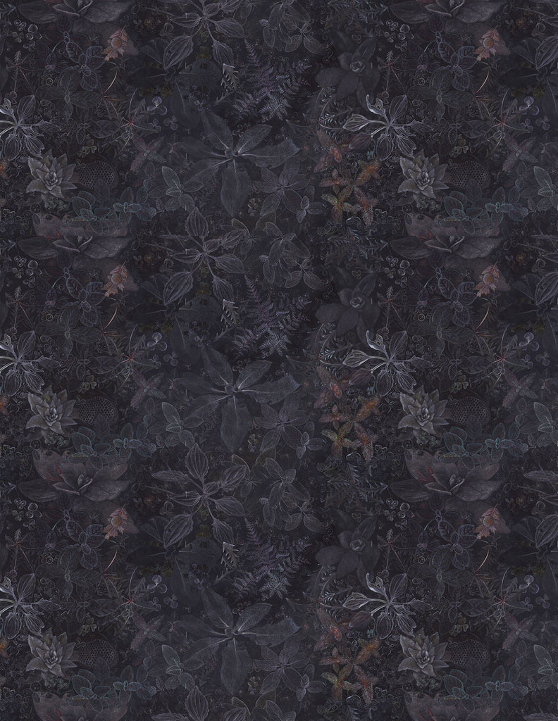 Night garden dark and moody atmospheric wallpaper designed by Claire Burbridge depicting wild edible and medicinal plants chalk like marks on a black background 