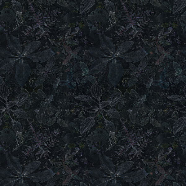  Repeat of artist Claire Burbridge's dark moody wallpaper Night garden 1 designed from an original pigment pencil drawing in soft pastel colors of wild edible plants on a black background 