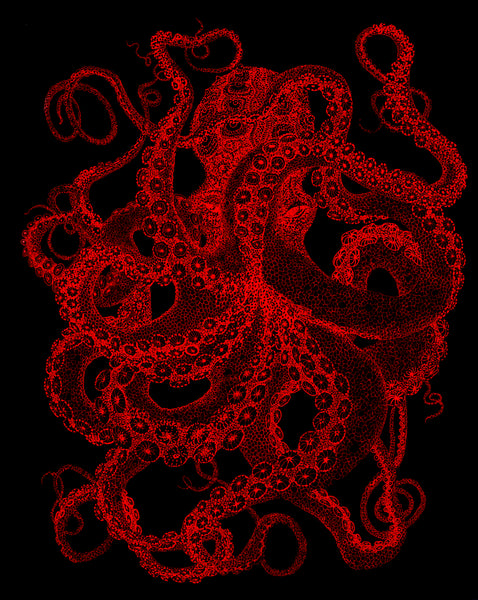 Red octopus an archival inkjet print rendered in a pointillist style by artist Claire Burbridge