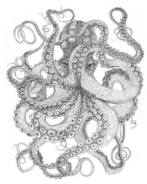 A pointillist rendition of a giant octopus by artist Claire Burbridge
