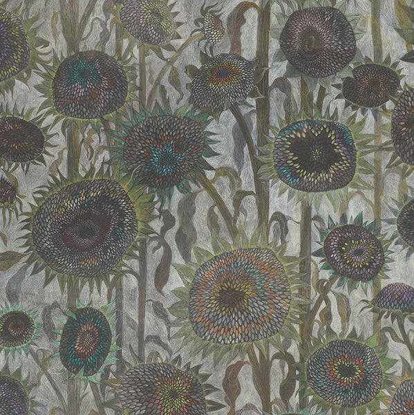 Detail of Sunflower ' Seed Heads' hand drawn luxury wallpaper design by artist Claire burbridge