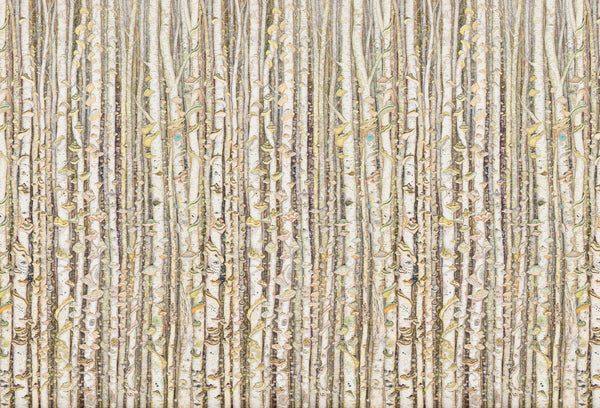 Tree mural wallpaper by artist Claire Burbridge , birch trees, polypore fungi, muted colors with bright highlights